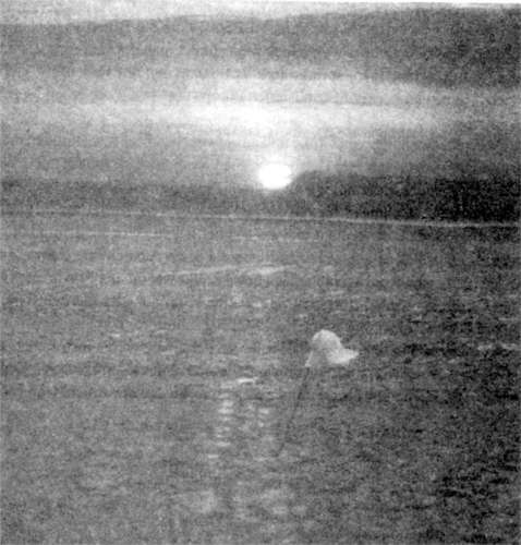 foto 14a..jpg (34228 bytes)